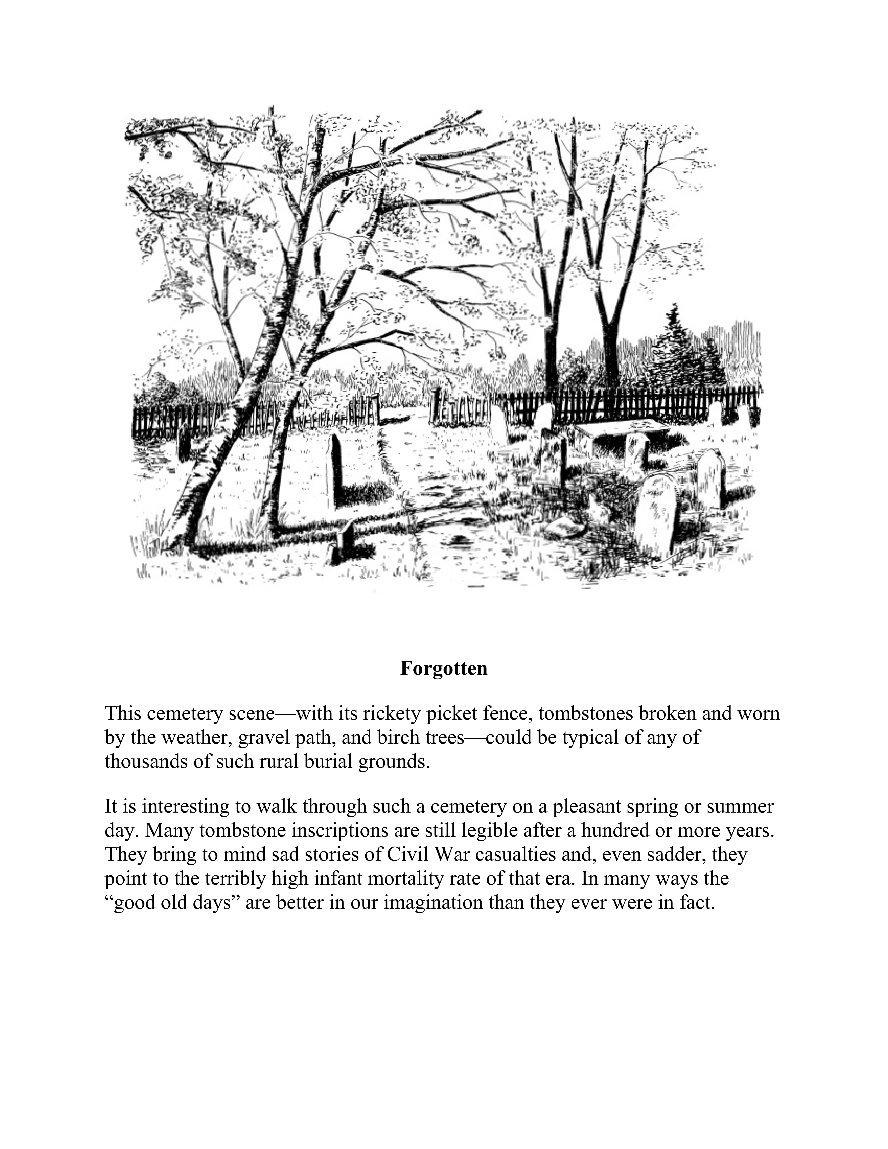 آموزش نقاشی طراحی سیاه قلم شهرری کتاب طرح های خودکار و مرکب